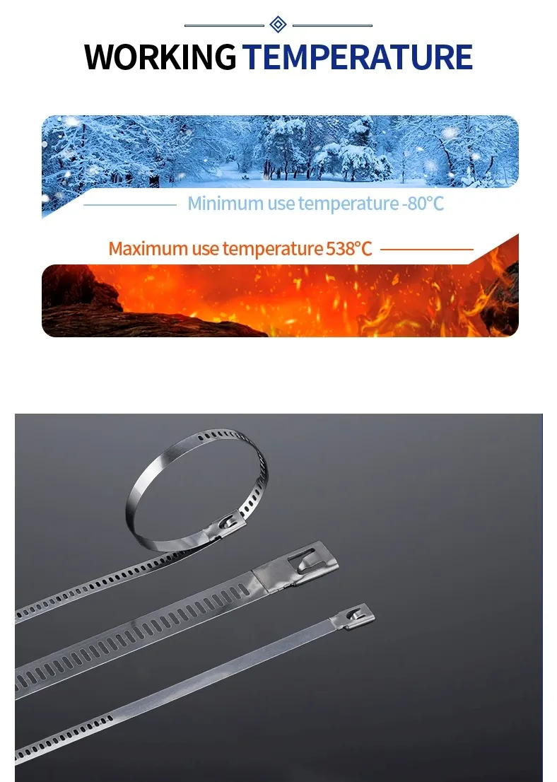 stainless steel ladder cable ties