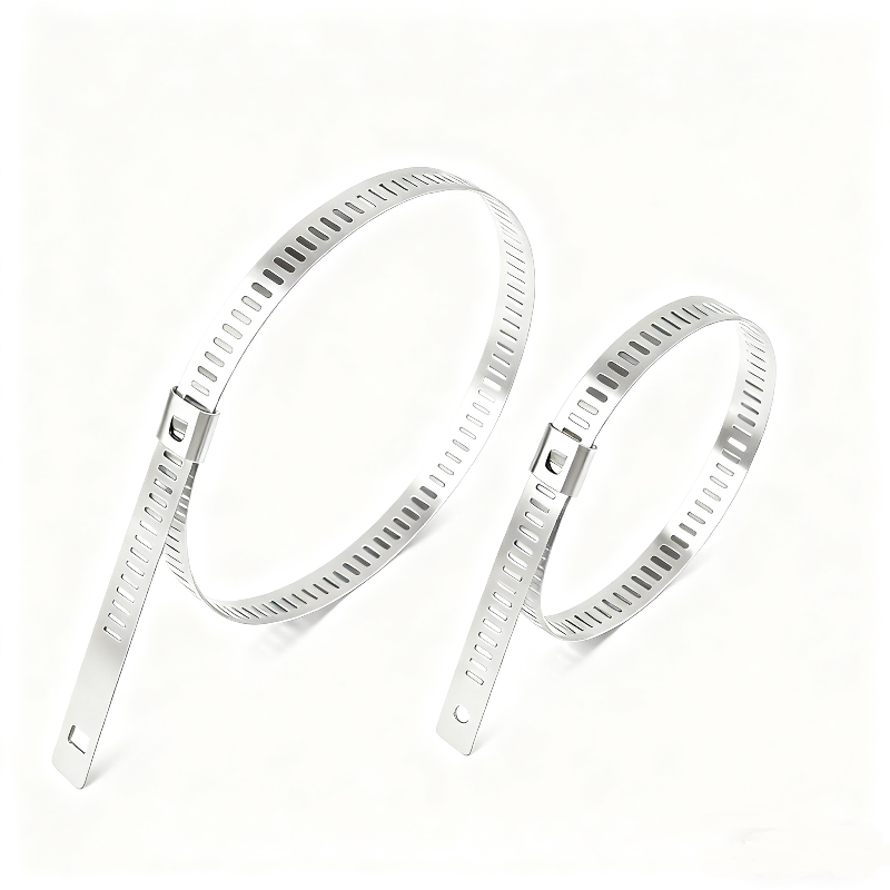 stainless steel ladder cable ties